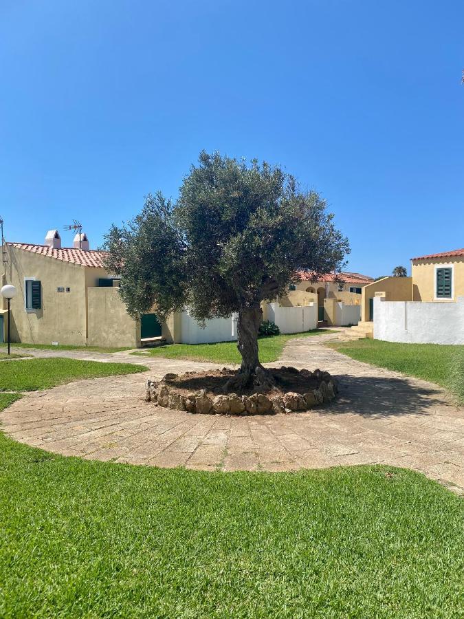Apartamento 7 Palmeras Ciutadella  Exteriör bild